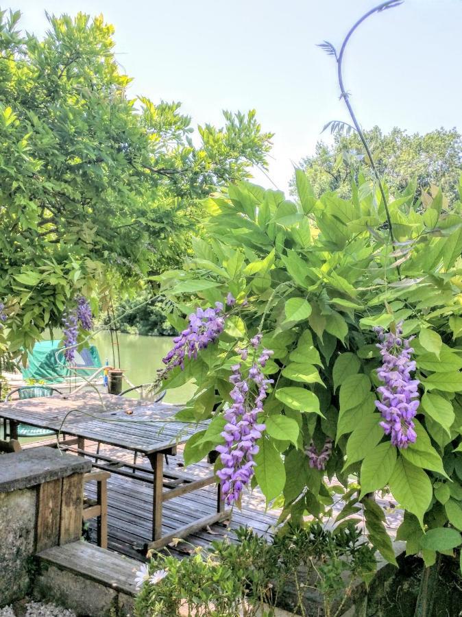 Bed and Breakfast Quai Des Fleurs Saint-Savinien Екстер'єр фото